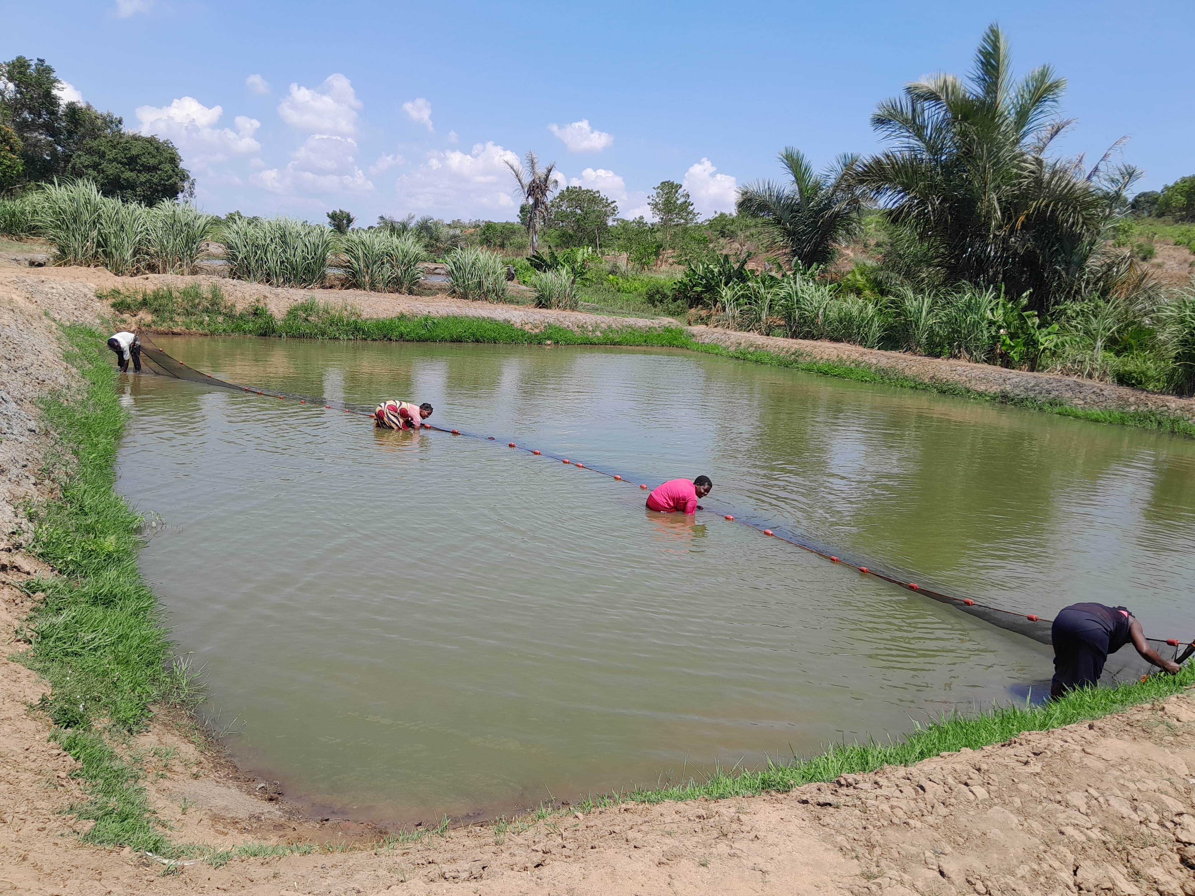 Responsible Sourcing