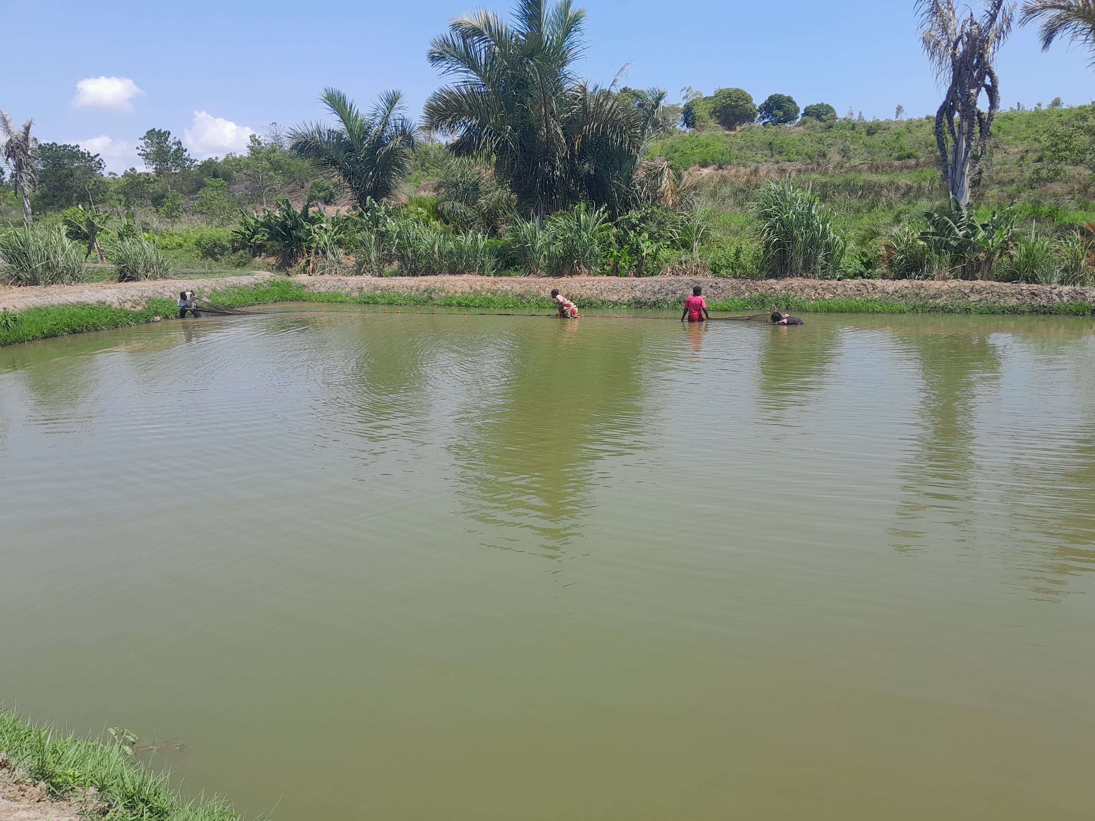 Climate-Smart Agriculture